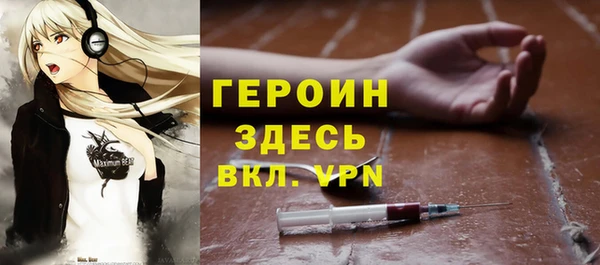 мет Алексин