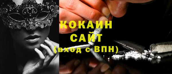 ECSTASY Алзамай