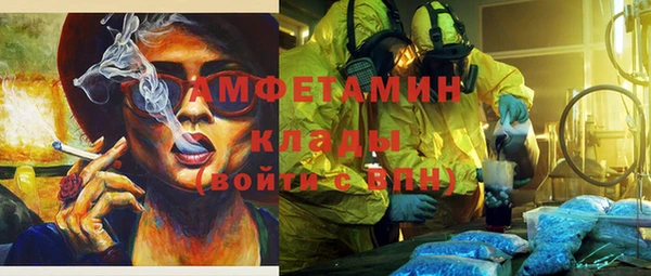 мет Алексин