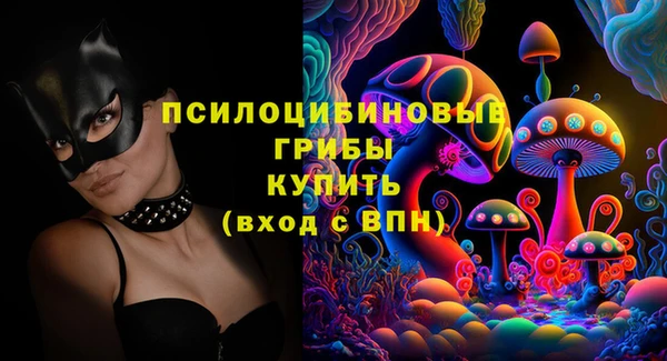 сатива Алексеевка