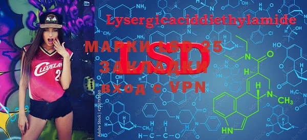 ECSTASY Алзамай