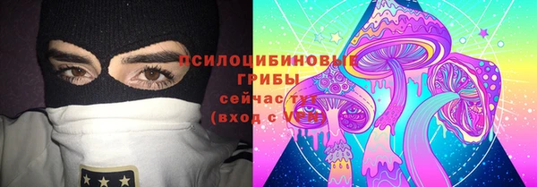 ECSTASY Алзамай
