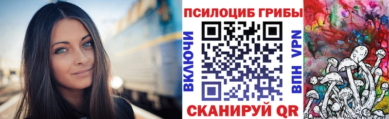 хочу наркоту  Тосно  Псилоцибиновые грибы Psilocybine cubensis 